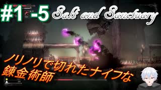 ＃1 -5　続編が出るから前作をプレイする【ソルトアンドサンクチュアリ】【アーカイブ】