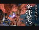 【STEAM版】モンハンライズ『重大な竜（嫁）に全部撃て！』