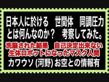 カワウソ（河〇デマ太郎） 既にお空か？同調圧力、世間体、考察してみた。