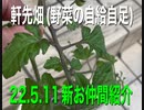 順調？に育っています。