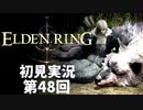 【初見実況】エルデンリング 第48回【手汗かき人が逝く】
