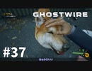 【ゆっくり実況】Ghostwire: Tokyo その37
