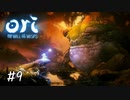 過ぎた力は与えないで【Ori and the Will of the Wisps】#9