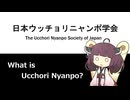 【日本ウッチョリニャンポ学会】ウッチョリニャンポについての手がかりの整理と得られた手がかりに矛盾しない料理の提示