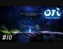精霊使い荒い人多くない？【Ori and the Will of the Wisps】#10