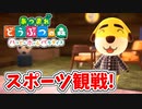 【あつまれ どうぶつの森 ハッピーホームパラダイス実況】別荘？？OK！任せて！シャンペンの別荘「スポーツ観戦！」完成編