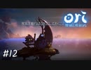 あなたたちはそこにいて！！【Ori and the Will of the Wisps】#12