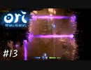 それは何のエネルギー？【Ori and the Will of the Wisps】#13