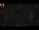 【実況】Layers of Fearを今更やる 13