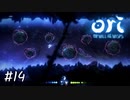 これは俺が下手なのか…？【Ori and the Will of the Wisps】#14