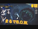 【ゆっくり実況】サンブレイク発売までにストーリー終わらすだけ Part12【MHRise/PC版】