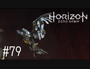 【ゆっくり実況】Horizon Zero Dawn その79
