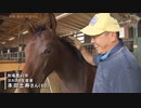 【競馬MAD】ヨカヨカ、九州産馬の夢を乗せて
