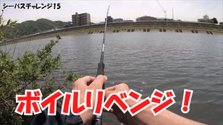 ここでプロが釣りしてる動画見たんだけど、三日間丸ホゲってたヨ【シーバスチャレンジ15】