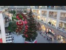 サッポロファクトリーのクリスマスツリー 2021年11月撮影