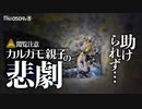 カルガモ親子の引越しで悲劇0509R⑧【溺れた雛鳥を助けたが衰弱】危険地帯で赤ちゃんカモが穴に落ちる　#カルガモ親子　#カルガモ　#身近な生き物語