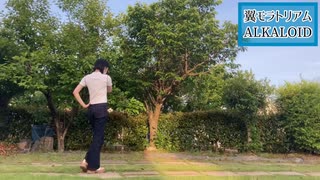 【あんスタ】翼モラトリアム踊ってみた/ALKALOID