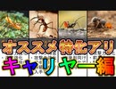 キャリヤー編成オススメ特化アリ12選【ザアンツ】