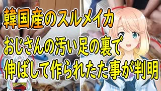 【韓国の反応】韓国産のスルメイカ、汚いおじさんの足で踏んで伸ばして作られてた事が判明【世界の〇〇にゅーす】