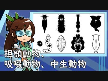 シリーズ動物：担顎動物と吸啜動物と中生動物