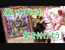 オル×2決闘者ついなちゃん！4【遊戯王マスターデュエル】