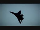 【MAD】ウクライナ空軍(キエフの幽霊)
