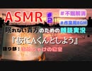 【睡眠用/作業用 ASMR】眠れない夜のための『仮にAくんとしよう』#2