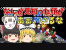 【マリオカート8DX PART44】Lスティック使用禁止縛り中に乱入者!?【ゆっくり実況】
