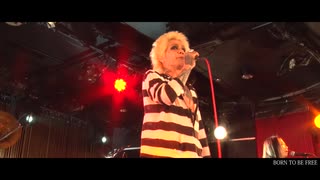 BORN TO BE FREE【ZIGGY LIVE 2022「春ノ乱」】