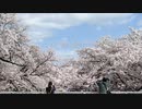 【AIめろう】この季節が過ぎたなら【オリジナル】