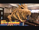 ポケモン化石博物館に行ってきたので化石パーティを組みました【ゆっくり実況】【Pokémon Fossil Museum】
