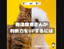 発達障害さんの永遠のテーマ「判断力」をアップする方法