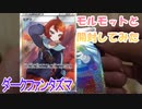 【ポケカ開封】『ダークファンタズマ』モルモットと開封してみた【モルモット】