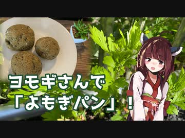 【思い切って野草を食べてみよう】#68 ヨモギさんで「よもぎパン」！