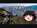 【自転車車載】ゆっくり脇道サイクリング日記 最明寺史跡公園への道