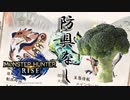 これクリアしたら次から集会所!!!クリアしたら#防具なし縛りのモンハンライズSTEAM版実況プレイ【MHRISE】part10