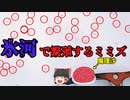 【ゆっくり解説】特殊な生き物2選【生き物】