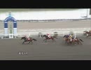 2022年5月14日高知競馬4R ＪＢＣ協会協賛高知佐賀スタリオンシリーズ シュヴァルグラン賞(準重賞) アメージングラン