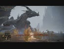 【ELDEN RING】発売日からトロコンするまで【実況】 part45