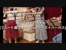 【風のクロノアメドレー】フルート３重奏＋コントラバスで演奏してみた【THE WINDMILL SONG〜BALADIUM’S DRIVE〜LUNATEA WALTZ】