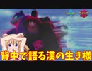 【ポケモン剣盾】ご注文は亀ですか？【カメックス】