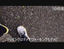 運動Day.44
