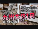 月読アイ先輩とついなちゃんの九州大体1周ツーリング  Part8 猫宿