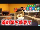 【あつまれ どうぶつの森 ハッピーホームパラダイス実況】別荘？？OK！任せて！メイの別荘「薬剤師を夢見て」編