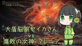 【Voiceroid実況】大盾脳筋セイカさんvs腐敗の女神マレニア【ELDEN RING】