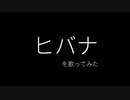 【アカペラ？】ヒバナ / Covered by 中野平琉【歌ってみた】