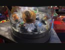 【メダルゲーム】―星のドラゴンクエスト　キングスプラッシュ―【シングルマスプッシャー】