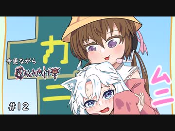 今更ながらcalamity#12