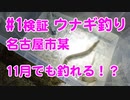 【#1 検証】11月でもウナギが釣れるのか検証！名古屋市内某川でドバミミズ最強説！？