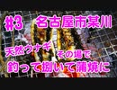 【#3 ウナギ釣り】11月に釣れた天然ウナギをその場で捌いて蒲焼にする！名古屋市内某川！